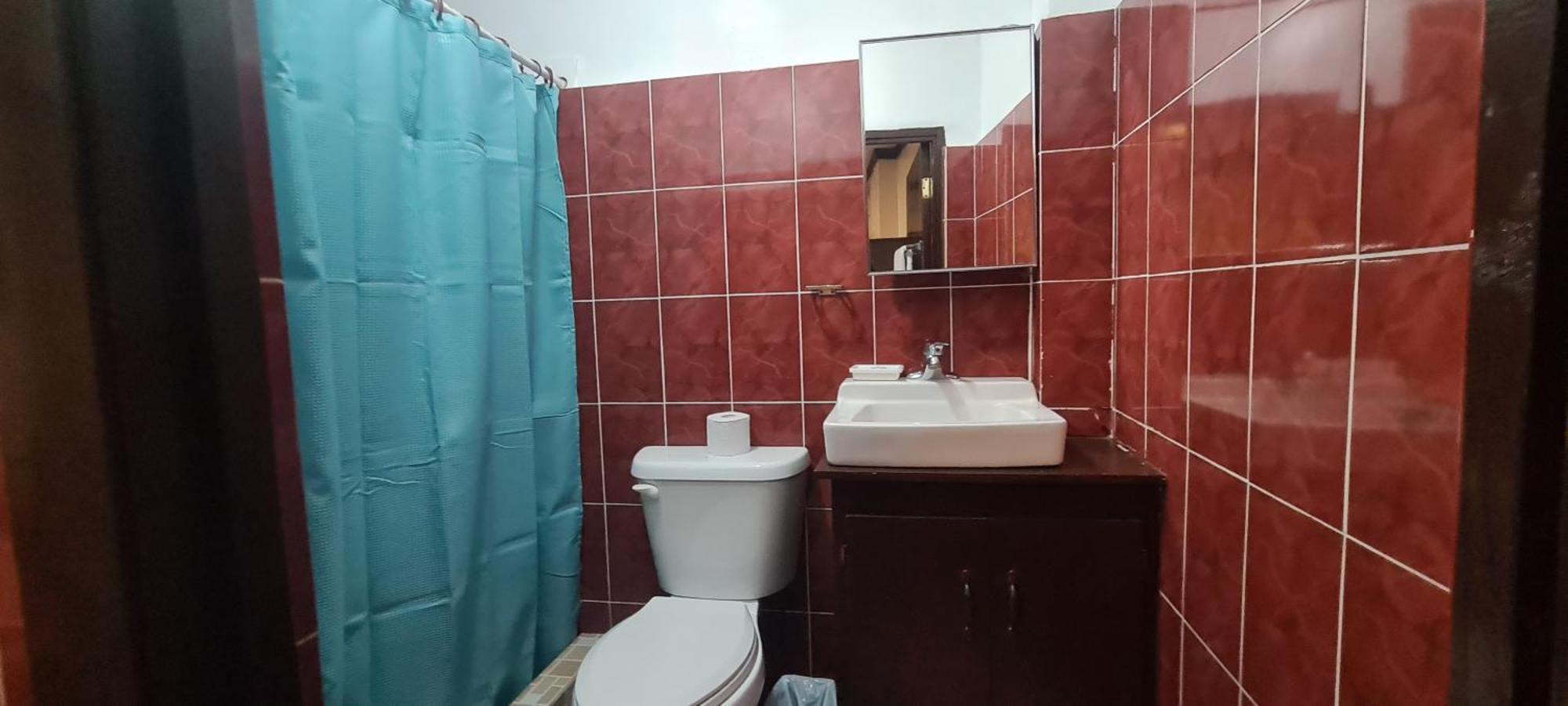 Palau Paradise Comfort コロール 部屋 写真